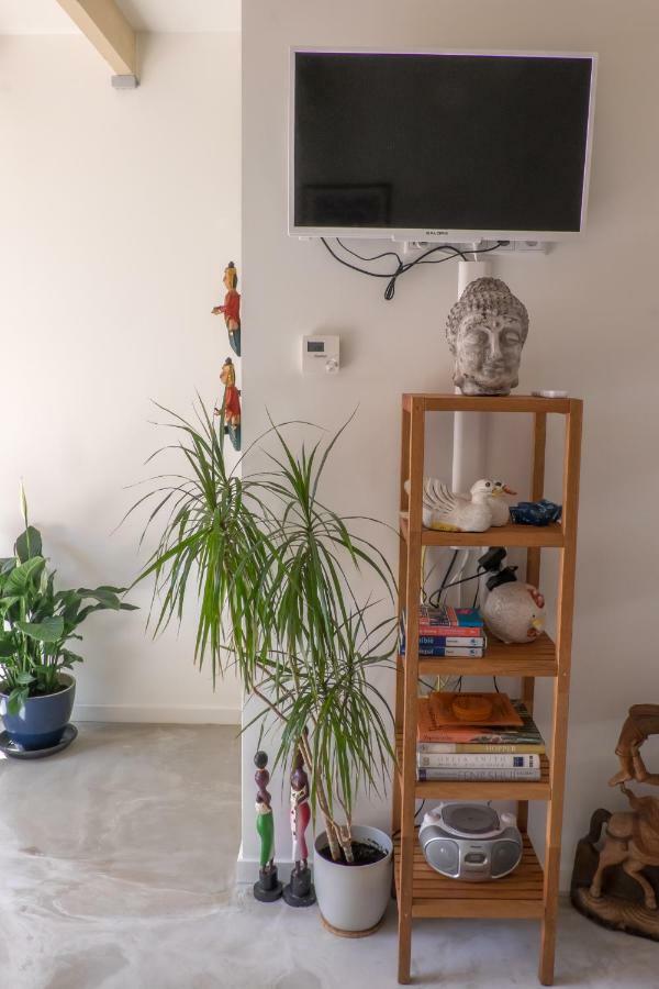 Studio South Beach With Garden And Free Parking Zandvoort Eksteriør billede